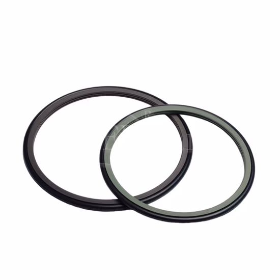 PTFE Hydraulic Seal Rod Seals Step Seals Gsj